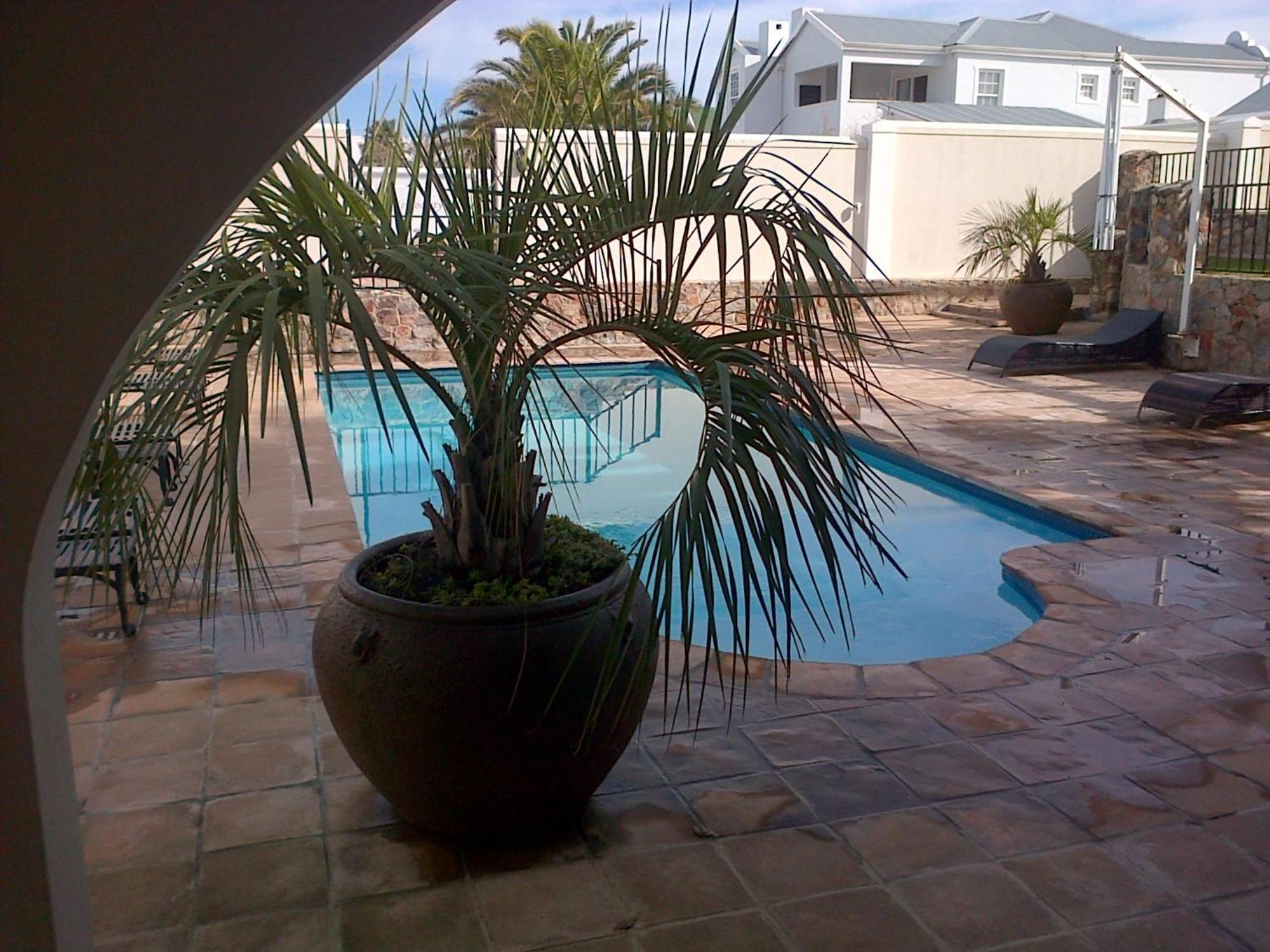 Nautilus Guest House Hermanus Dış mekan fotoğraf