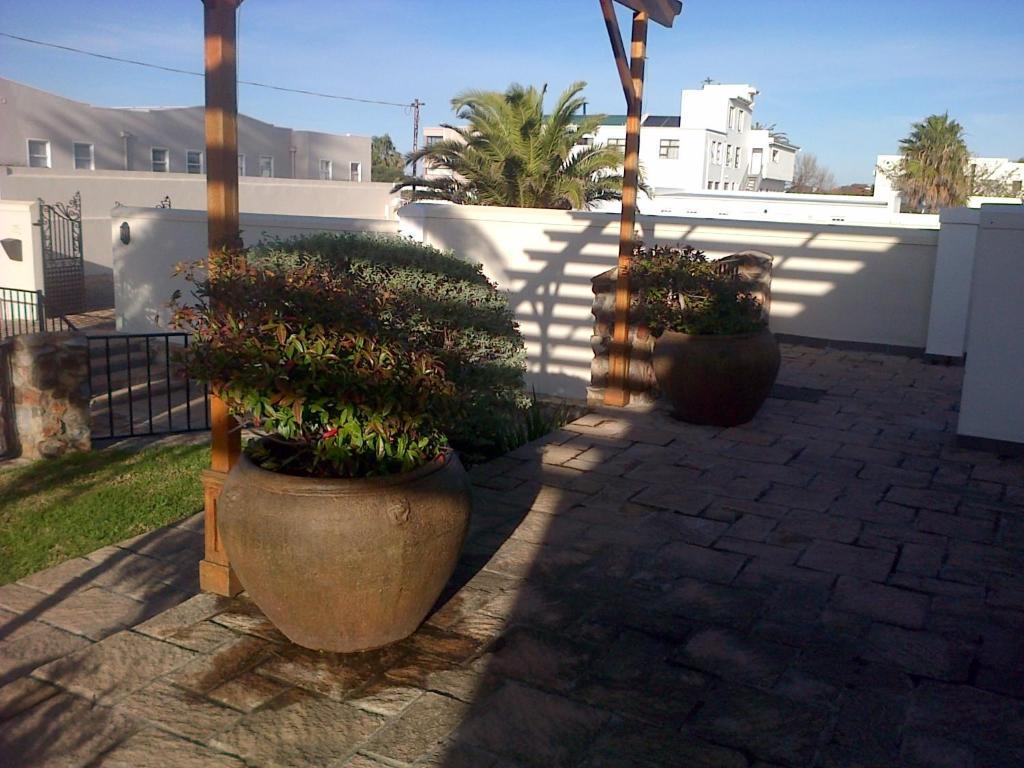 Nautilus Guest House Hermanus Dış mekan fotoğraf